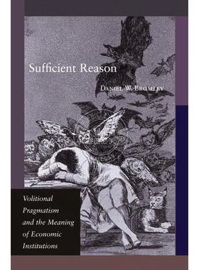 按需印刷 Sufficient Reason充足的理由：意愿性实用主义与经济制度的意义 英文原版普林斯顿