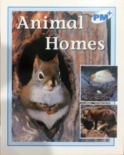 现货 Blue Level - Non-fiction Books PM彩虹阅读 小学教育分级阅读6册