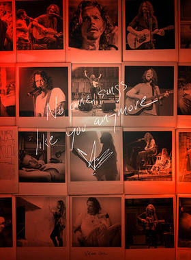 克里斯 康奈尔 No One Sings Like You Anymore (Volume 1)