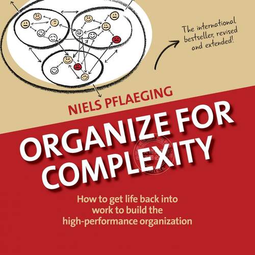 预售 按需印刷 Organize for Complexity