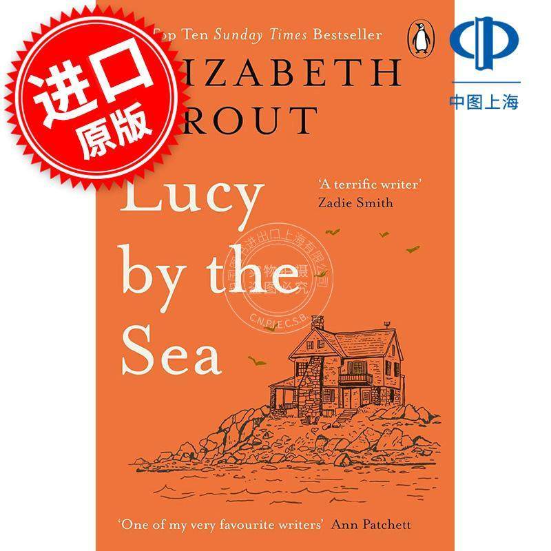 现货 我知道这关乎失去 伊丽莎白·斯特劳特 Elizabeth Strout 英文原版 Lucy by the Sea 外国文学小说