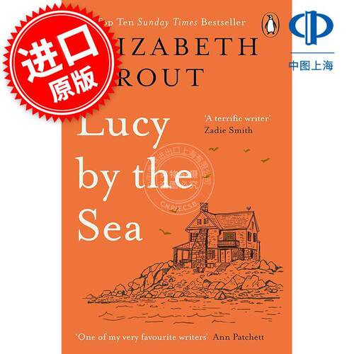 我知道这关乎失去 伊丽莎白·斯特劳特 Elizabeth Strout 英文原版 Lucy by the Sea 外国文学小说
