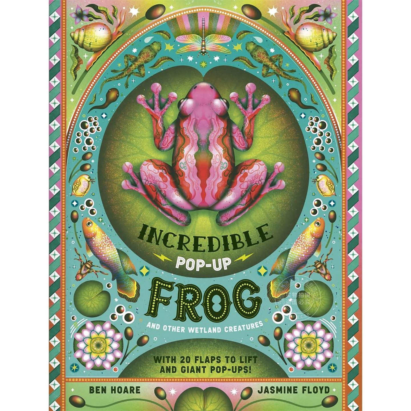 神奇的弹跳蛙:及其他湿地生物 立体书 英文原版 The Incredible Pop-up Frog: And other Wetland Creatures 7-12岁
