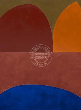 现货 苏珊・弗雷孔 绘画作品艺术集 英文原版 Suzan Frecon