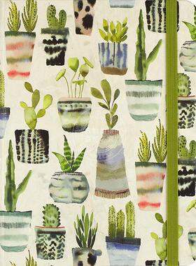水彩多肉 笔记本 日记本 文创周边 Peter Pauper Press 无酸纸 英文原版  Watercolor Succulents Journal
