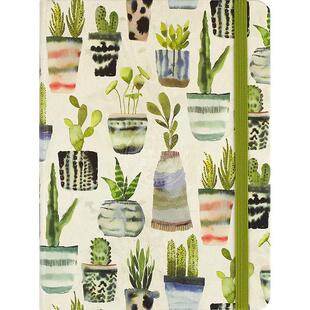水彩多肉 笔记本 日记本 文创周边 Peter Pauper Press 无酸纸 英文原版  Watercolor Succulents Journal