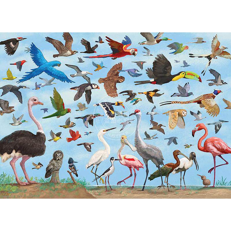 鸟类 1000片拼图 文创周边 Peter Pauper Press 英文原版 All the Birds 1 000 Piece Jigsaw Puzzle