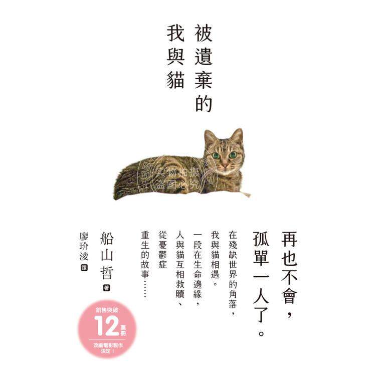 现货 港台原版 被遗弃的我与猫 船山哲 枫书坊出版