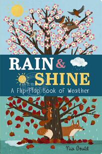 节小知识儿童读物 Weather 天气变化 天气季 Flip Rain 英文原版 Book 纸板翻翻书 Flap Shine