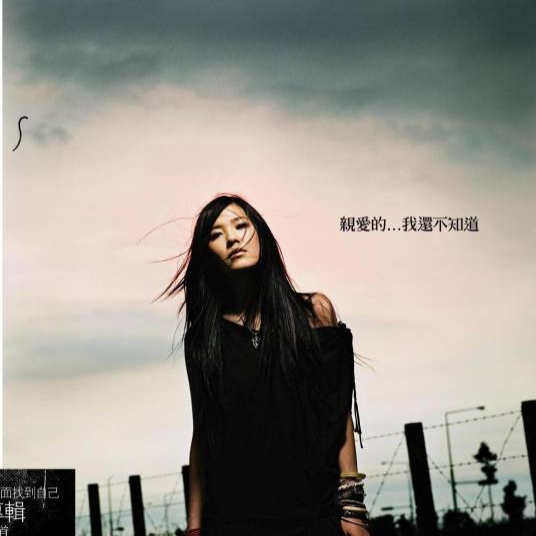【中图音像】黑胶 张悬 亲爱的 我还不知道 2LP