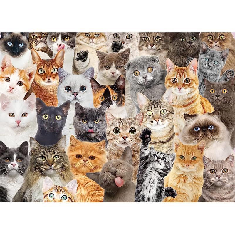 现货 小猫拼图500片 文创周边 Peter Pauper Press 英文原版  All the Cats 500 Piece Jigsaw Puzzle