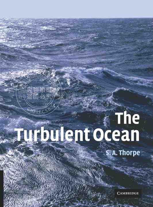 预售按需印刷 The Turbulent Ocean