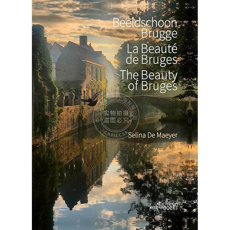 布鲁日之美 荷兰语原版 旅游摄影 艺术画册 The Beauty of Bruges