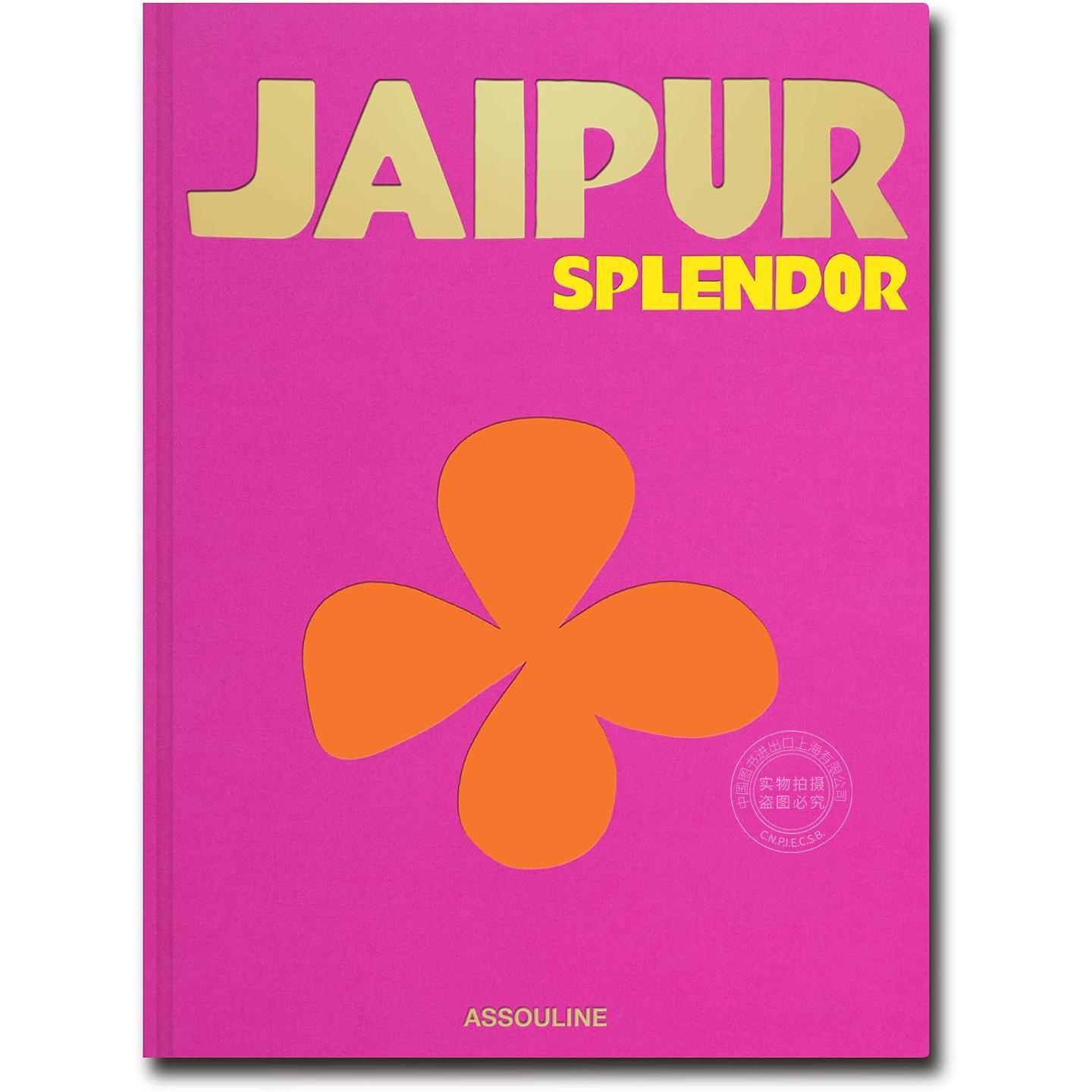 璀璨斋浦尔 旅游与人文指南 Assouline出版社 莫泽斯·辛格 Mozez Singh 英文原版 Jaipur Splendor