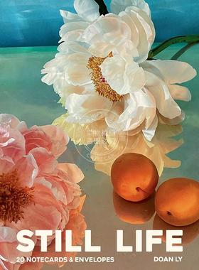 现货 静物记事卡：20 张记事卡和信封 李多安 Doan Ly  英文原版 Still Life Notecards: 20 Notecards and Envelopes