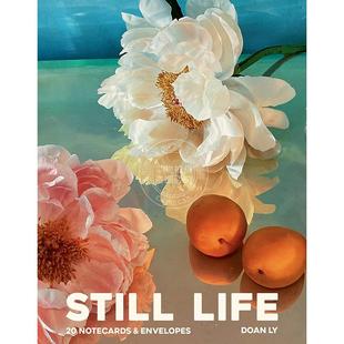 Still 静物记事卡：20 现货 Life and 李多安 张记事卡和信封 Envelopes Doan Notecards 英文原版