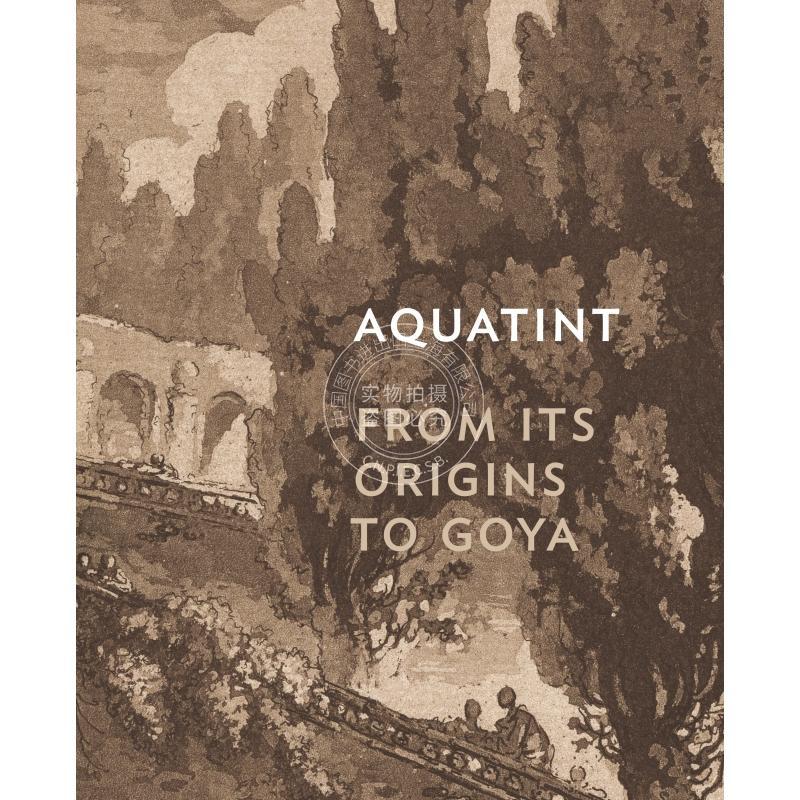 按需印刷 Aquatint《凹版腐蚀版画：从起源到戈雅》 英文原版 普林斯顿大学出版社