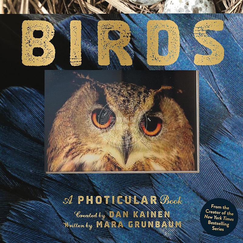鸟类3D动态立体书 光与影视觉动画书 鸟类科普 Dan Kainen 英文原版 Birds: A Photicular Book