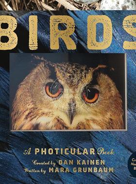 鸟类3D动态立体书 光与影视觉动画书 鸟类科普 Dan Kainen 英文原版 Birds: A Photicular Book