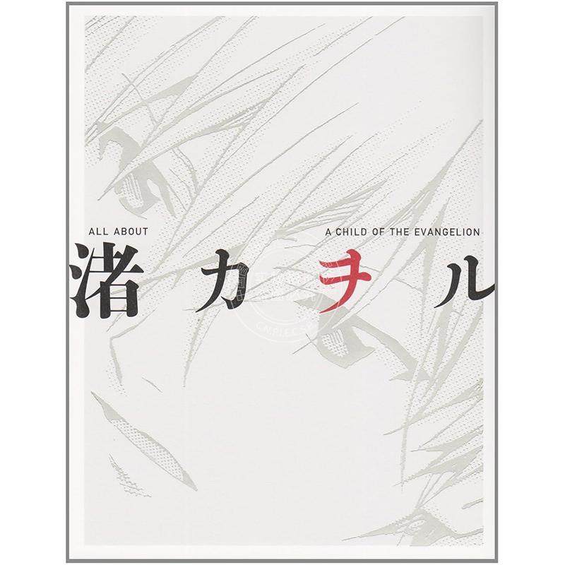 现货 进口日文 渚薰写真集 新世纪福音战士 EVA 天鹰战士 ALL ABOUT 渚カヲル A CHILD OF THE EVANGELION