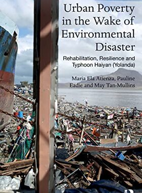 预售 按需印刷 Urban Poverty in the Wake of Environmental Disaster