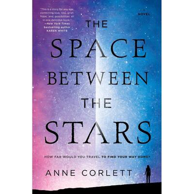 预售 The Space Between the Stars 企鹅兰登