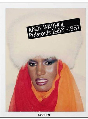 fo-Warhol, Polaroids, -INT