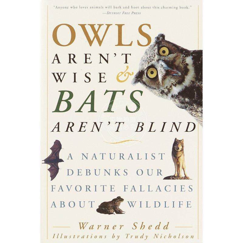 预售 Owls Arent Wise & Bats Arent Blind 企鹅兰登 按需印刷