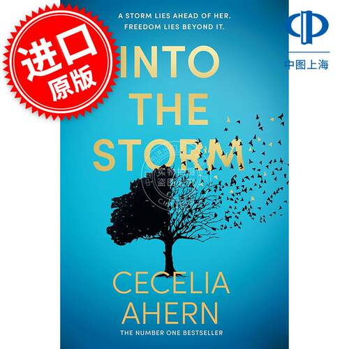 现货 进入风暴 Cecelia Ahern 英文原版 Into the Storm 外国文学小说