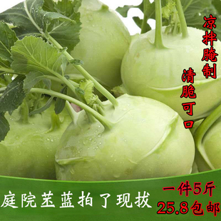 山西农家庭院现挖新鲜蔬菜大头菜青苤蓝甘蓝丕蓝球茎一件5斤包邮