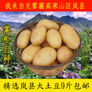 今年岚县农家蔬菜现挖沙面糯黄心马铃薯大土豆面洋芋净重9斤以上