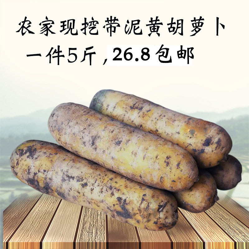 新鲜脆甜即食沙窝带泥水果胡萝卜