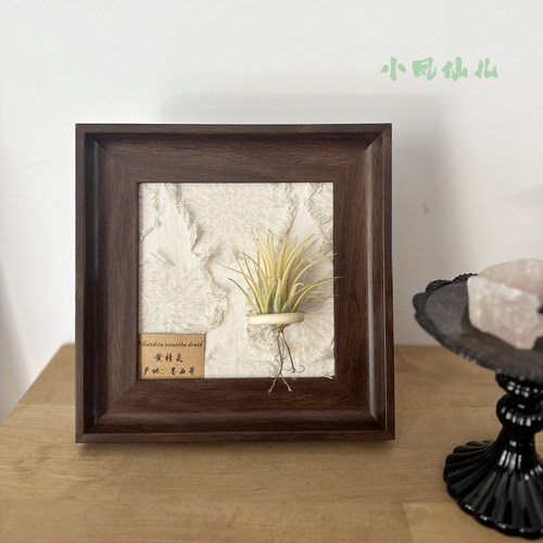 小凤仙儿空气凤梨磁吸装饰画框复古桌面墙上深棕色相框6寸送礼
