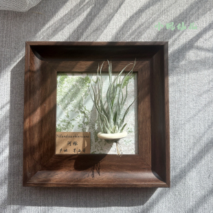 小凤仙儿空气凤梨套餐懒人植物现代装 饰画框桌面深棕色相框5寸