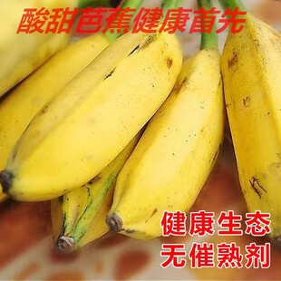 芭蕉牛蕉芭蕉牛角蕉净重9斤新鲜香蕉水果酸甜香蕉