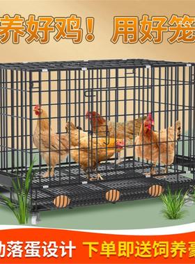 室外养鸡专用笼特大号养殖笼自动清粪鸡舍家用鸡笼子多层鸭笼狗笼