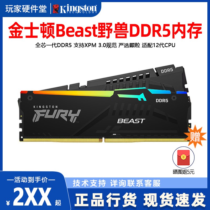 金士顿 16G/32G野兽DDR5 5200 5600 6000台式机电脑RGB灯条内存条 电脑硬件/显示器/电脑周边 内存 原图主图