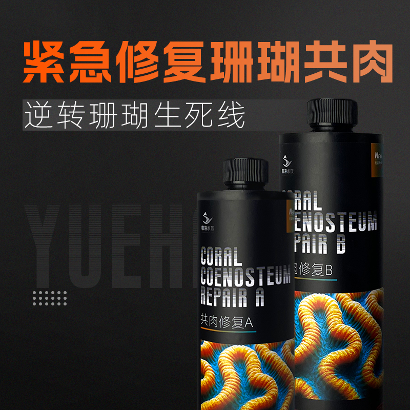 粤海 共肉修复珊瑚细菌感染布朗冻杀菌火柴头细菌感染修复共生肉