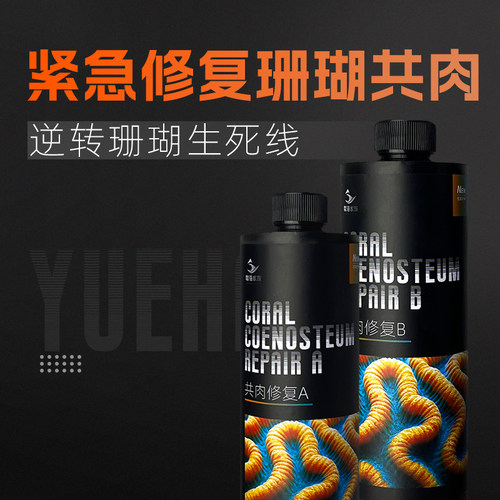 珊瑚细菌感染修复共生肉