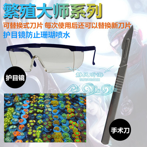纽扣刀割纽扣不锈钢防腐蚀刀片