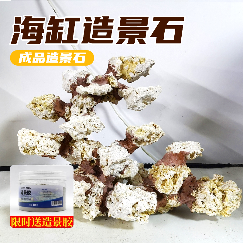 海缸成品造景石活石爪哇石葵巢