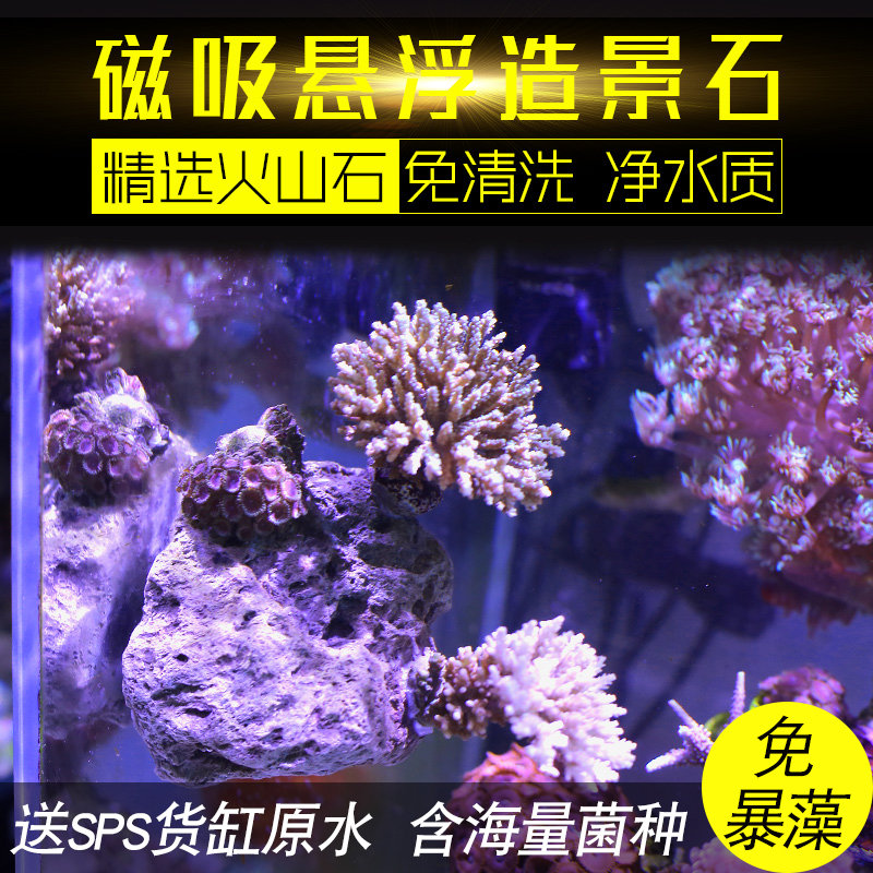 磁吸送sp原水海量火山石