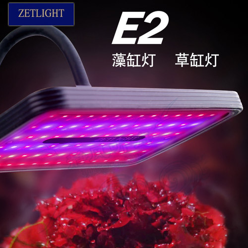 积光爆藻灯鱼缸藻缸灯海缸