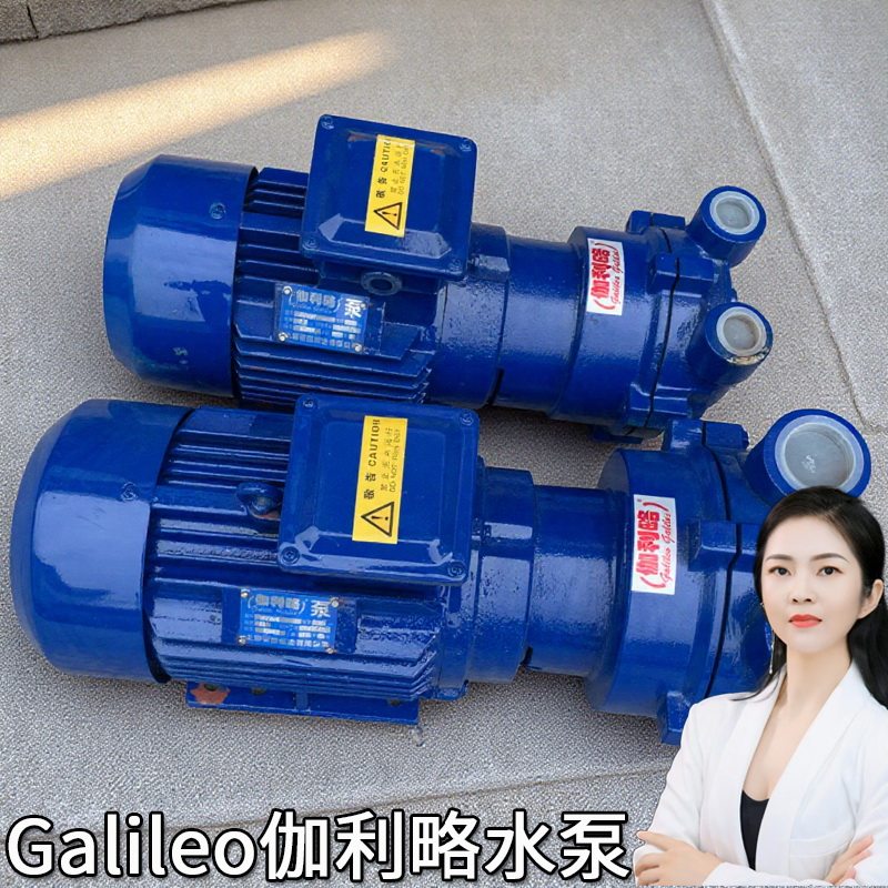 液循环小大型进口电手动负压片爪立式淄博抽吸系列2bve真空气泵