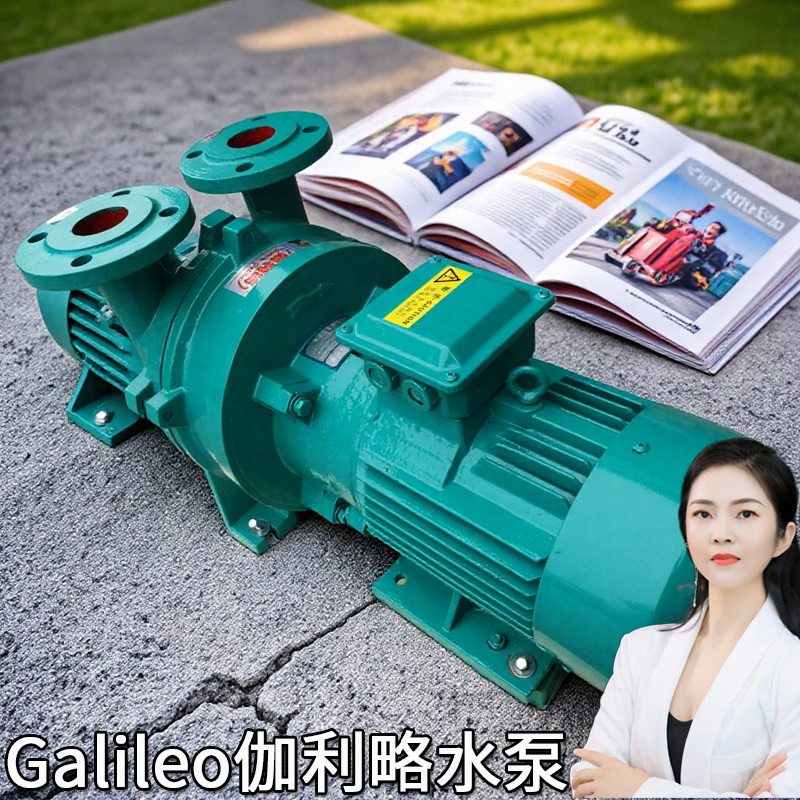 液循环系列片爪立式2bve进口负压小大型抽淄博电手动真空气泵