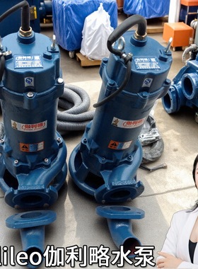 沼气池切割泵cp220潜水切割泵绞刀潜水排污泵工程污水潜水电泵