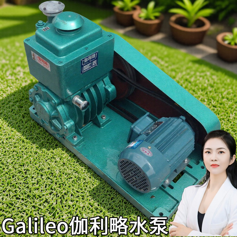 型旋片双级系列南京片式升8l2x154308702a30a70a8a4a真空泵价格泵