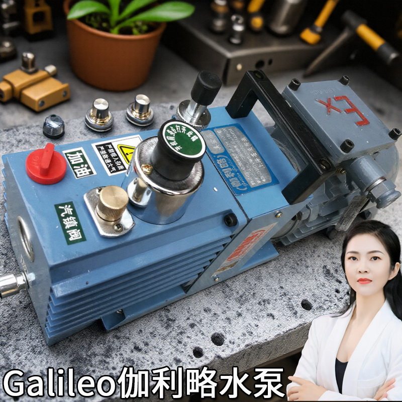 上海进口旋片爪式2xz系列双级小微型高分子负压用抽真空气泵