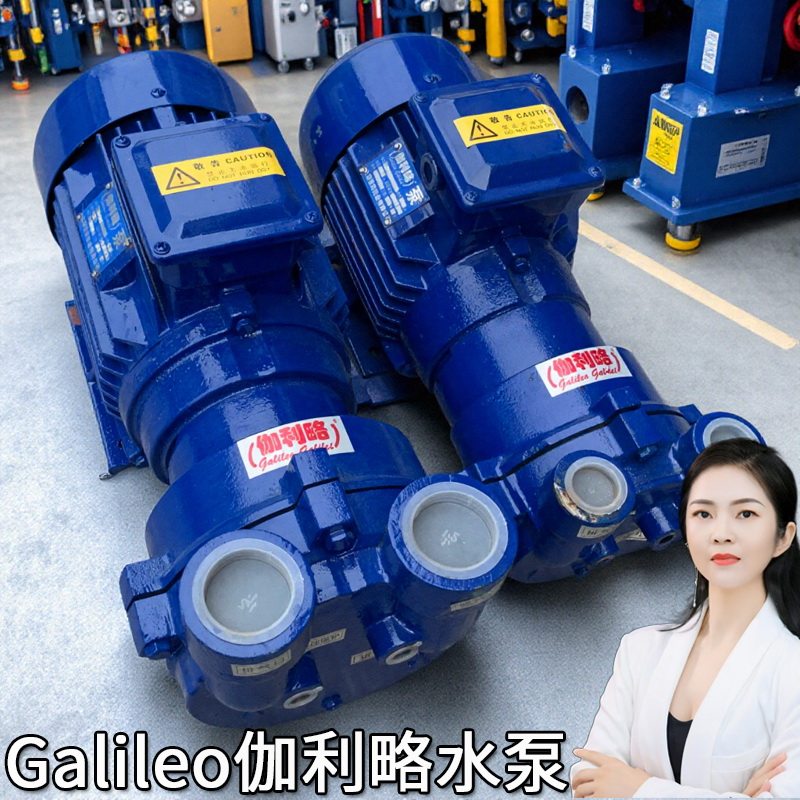 2bv51616111工深圳4kw进口不锈钢真空蠕动泵水环式碳油优质水环泵