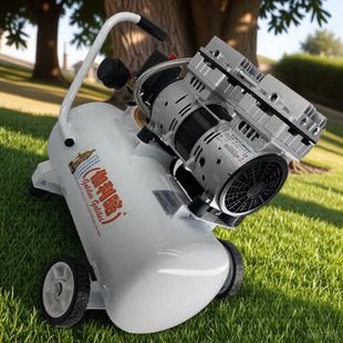 美容气泵上海空气压缩机云南压缩机无油润滑涡旋压缩机l压缩机